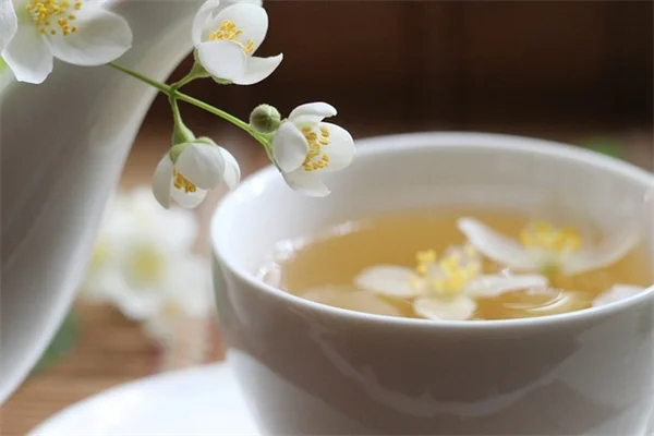 IKEAの造花、本物よりコスパがいい3つの理由