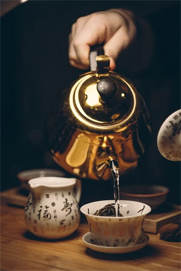 根鉢付きクリスマスツリーを植え替えてみた！失敗しない5つのコツ