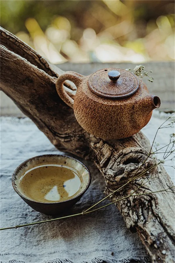 実は朝の4時～8時がベスト！芝生に水をやる時間帯と、あなたの芝生が劇的に変わる！