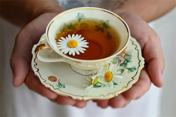 ブルーベリーソッドの驚きの簡単さ！芝生代わりに敷くだけの裏技
